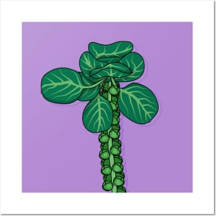 Brussel Sprout Plant Posters and Art